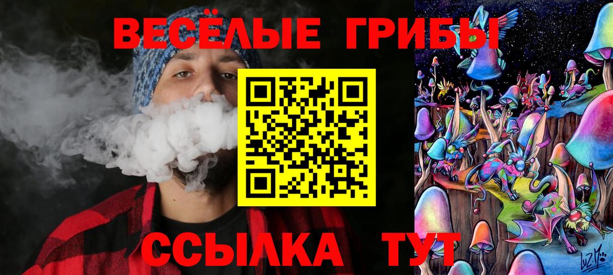 Котовск  Галлюциногенные грибы мухоморы  Вход с VPN  Галлюциногенные грибы мицелий 